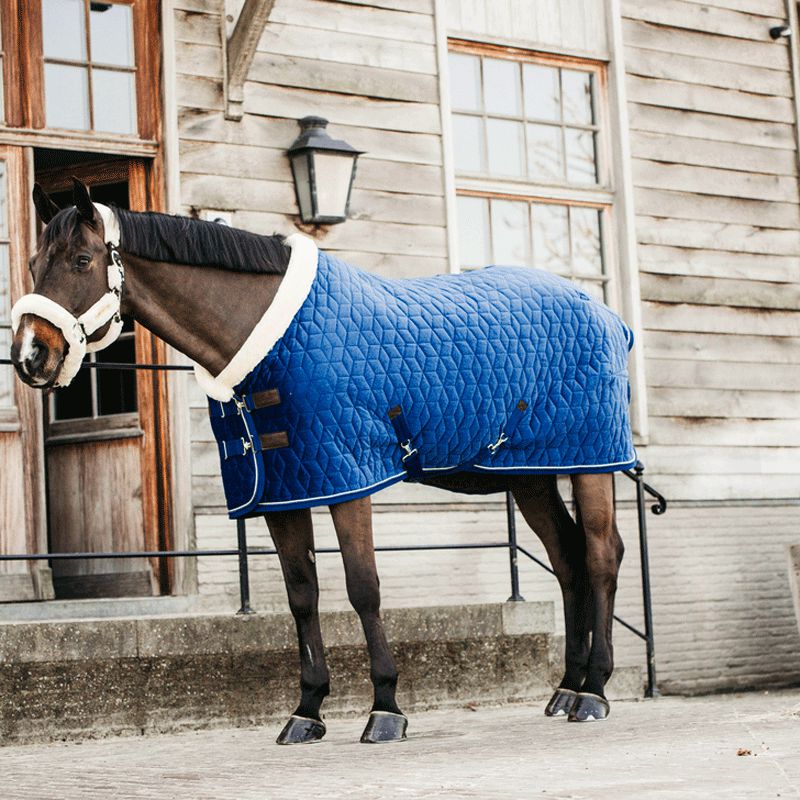 Kentucky Horsewear - Couverture de présentation velvet bleu marine 160g | - Ohlala