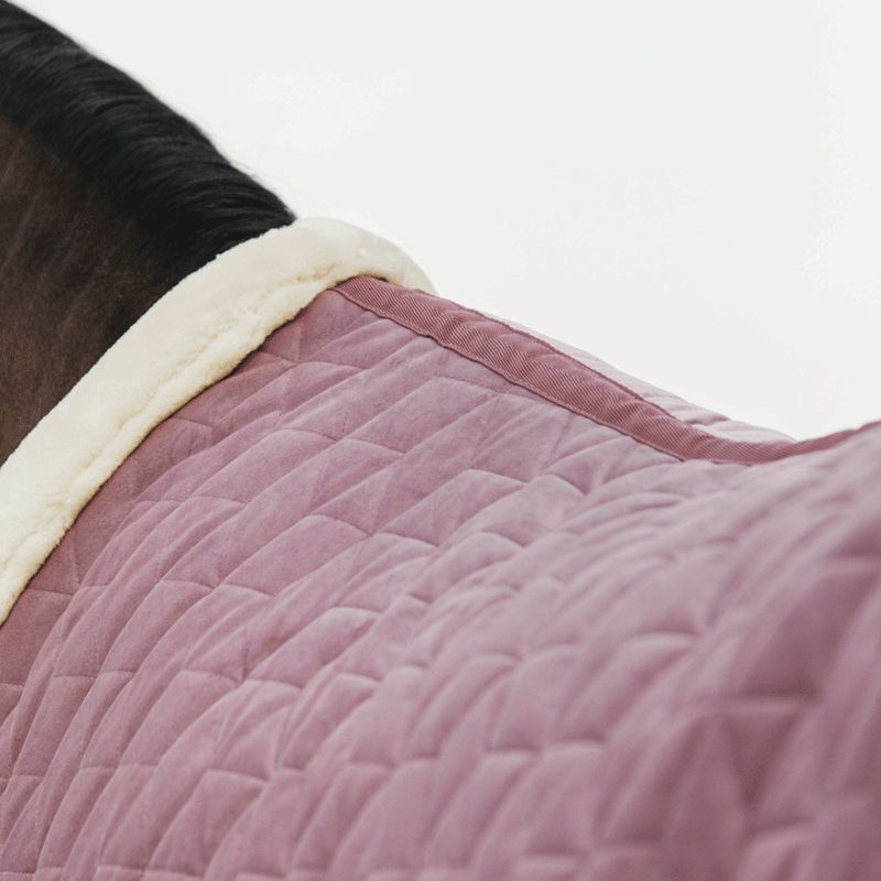 Kentucky Horsewear - Couverture de présentation velvet vieux rose 160g | - Ohlala