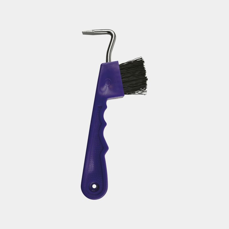 Hippotonic - Cure-pied brosse violet | - Ohlala