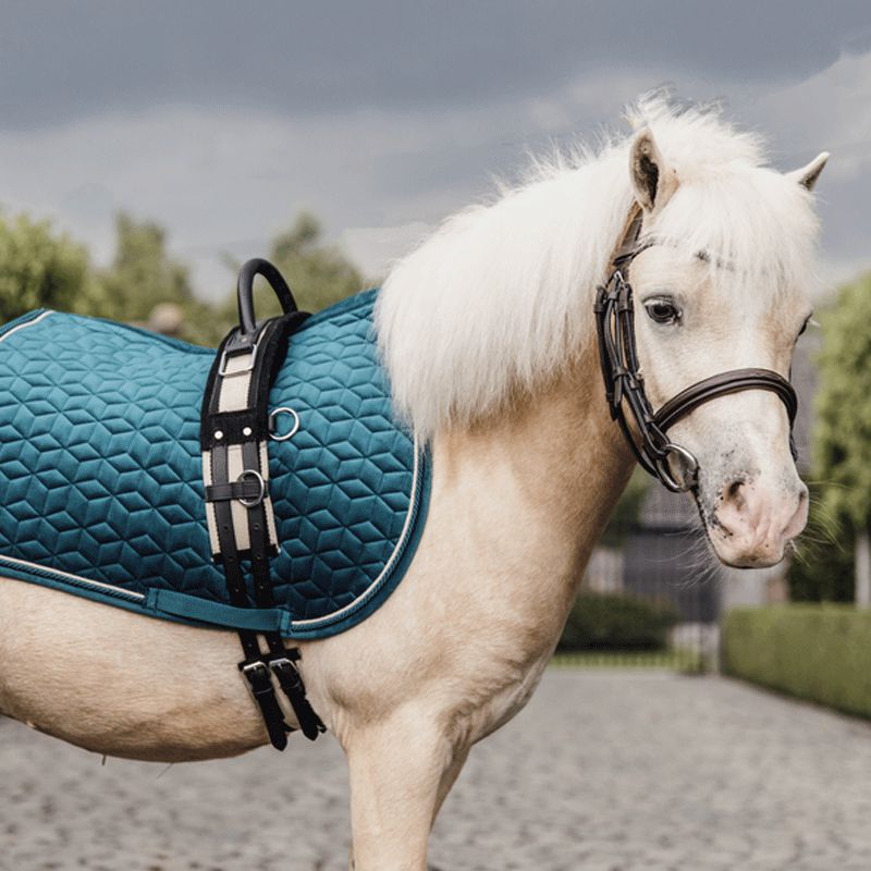 Kentucky Horsewear - Tapis de selle Velvet Jumping Emeraude pour minis | - Ohlala