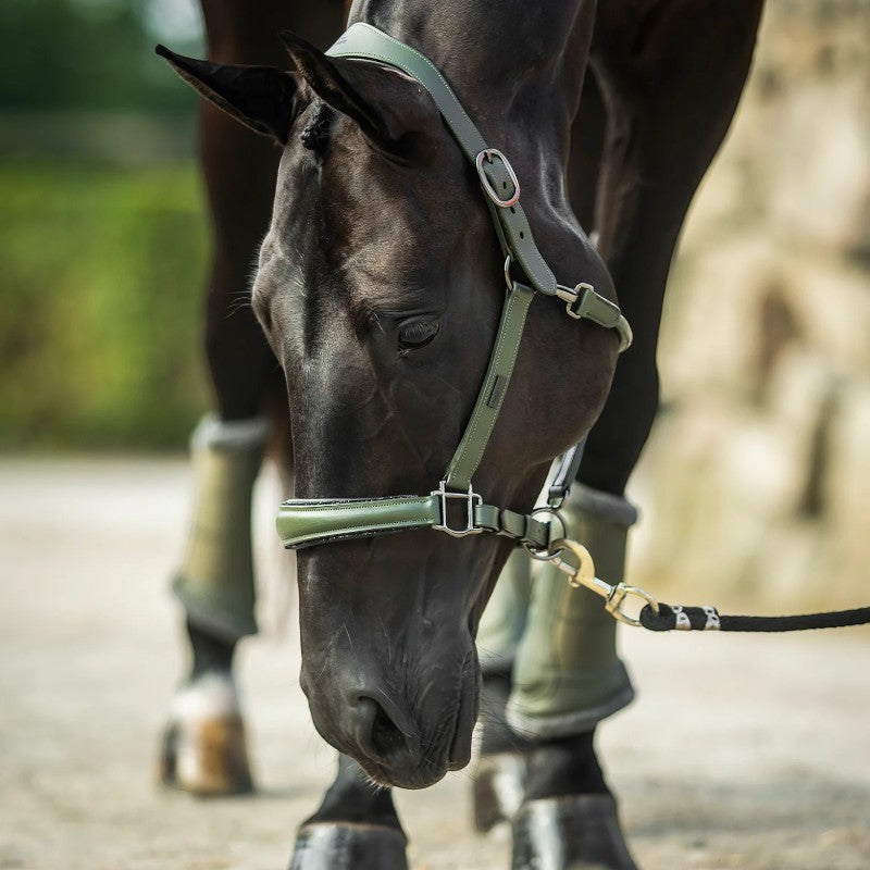 Equestrian Stockholm - Licol en cuir Glimmer striking valley | - Ohlala