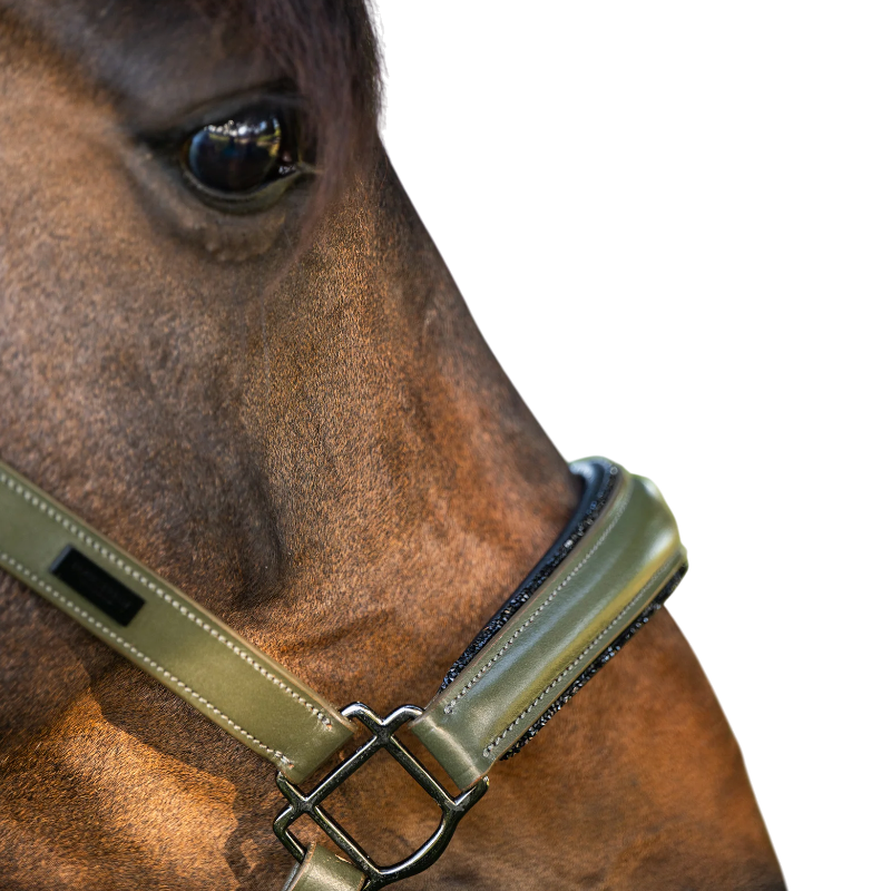 Equestrian Stockholm - Licol en cuir Glimmer striking valley | - Ohlala