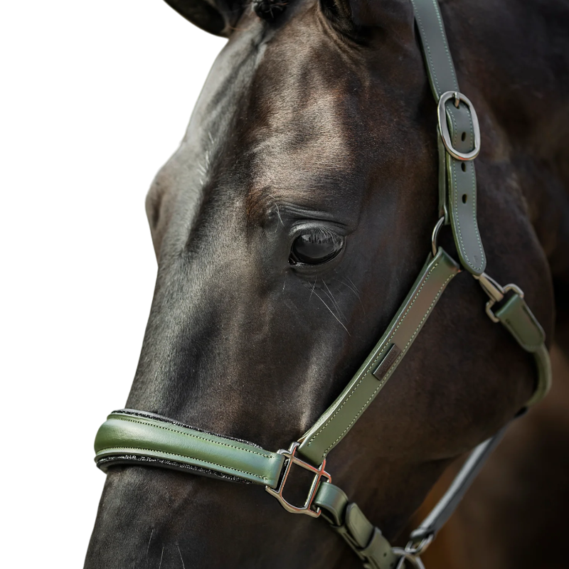 Equestrian Stockholm - Licol en cuir Glimmer striking valley | - Ohlala