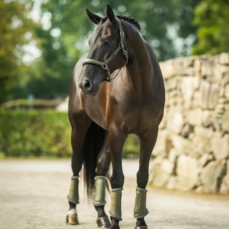 Equestrian Stockholm - Licol en cuir Glimmer striking valley | - Ohlala