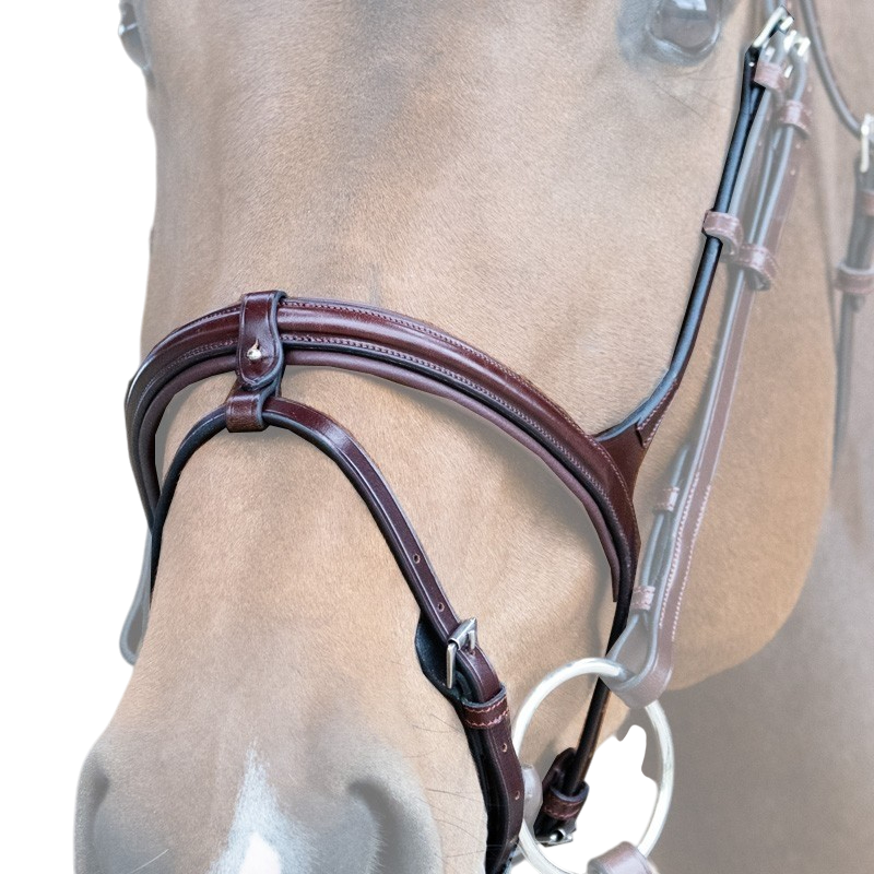 Jump'In - Muserolle combinée Evolution noisette