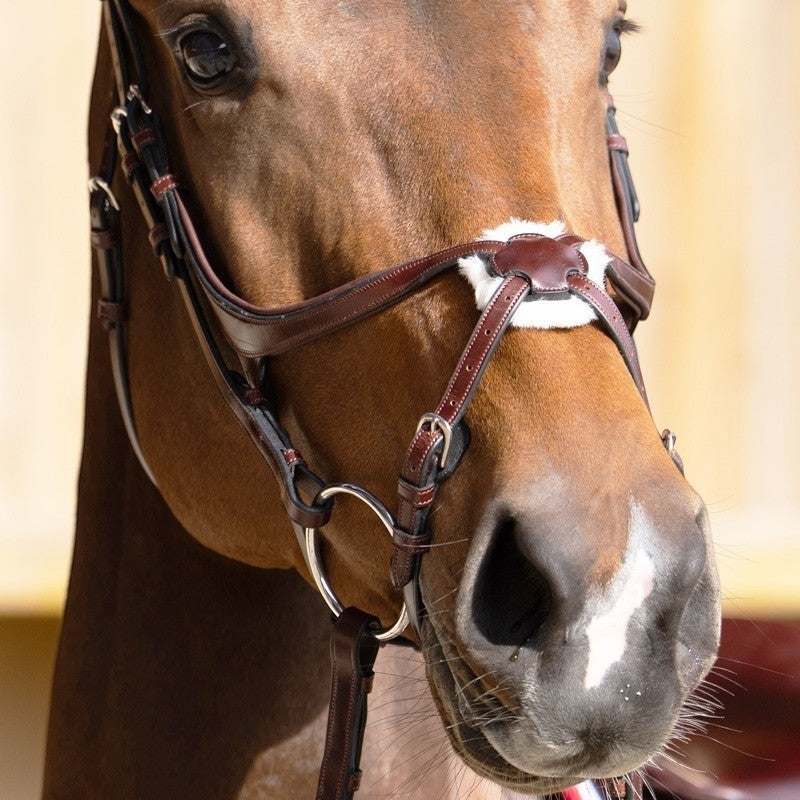 Jump'In - Muserolle croisée Evolution noisette