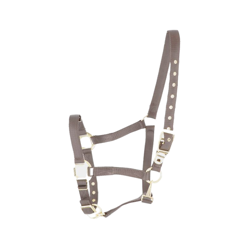 Equithème - Grey/brown nylon halter