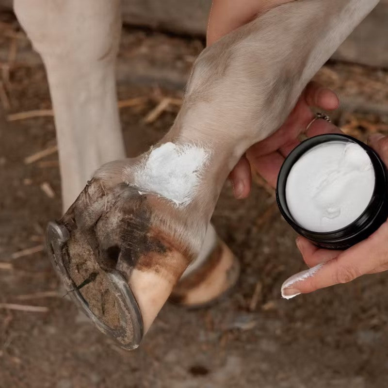 Grooming Deluxe - Anti Mud Fever Cream Plus 