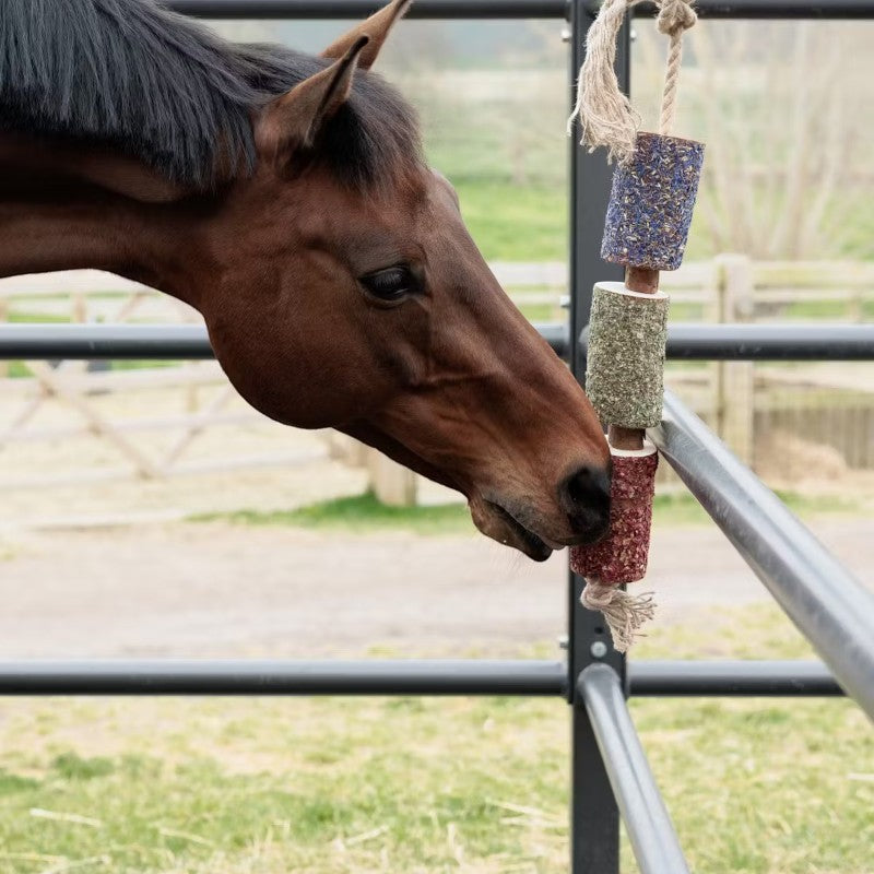 Grooming Deluxe - Relaxing wooden toy for horse Freedom 