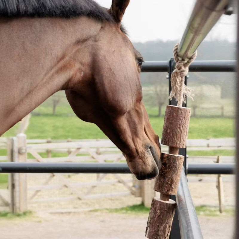 Grooming Deluxe - Relaxing wooden toy for horse Nature 