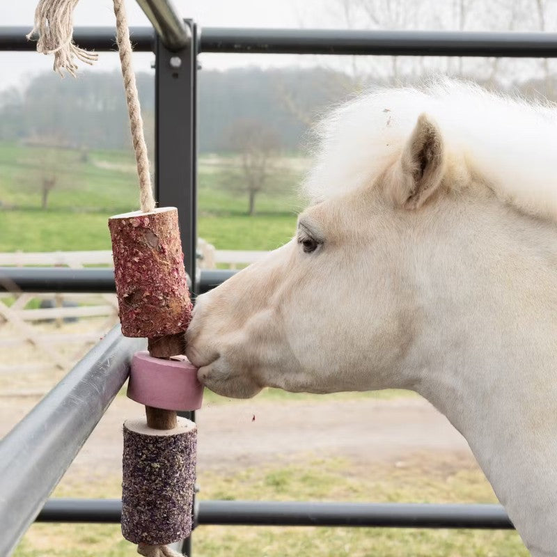 Grooming Deluxe - Relaxing wooden toy for horse with salt stone Sammy 