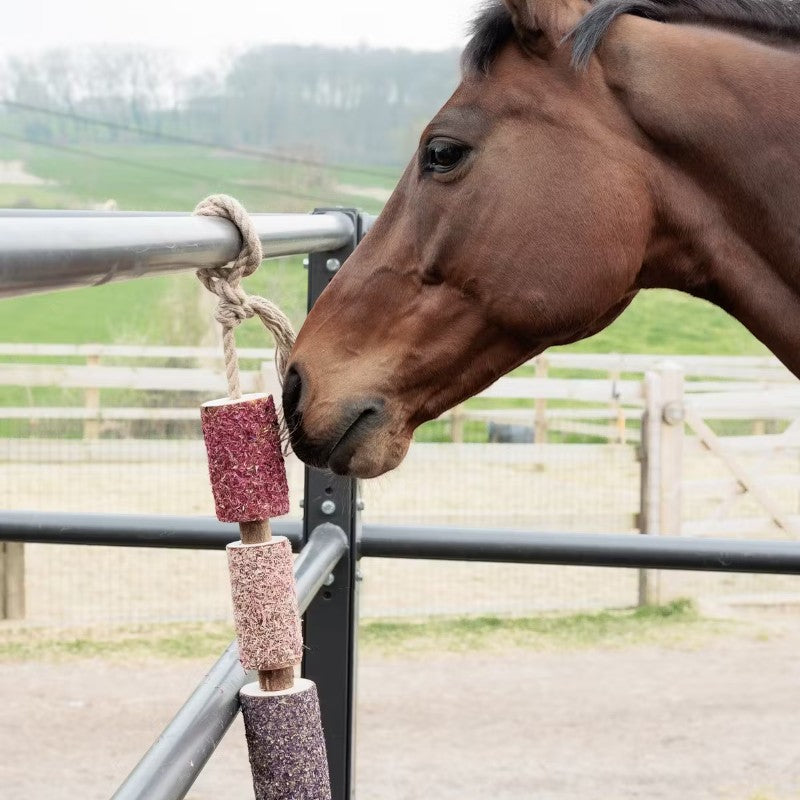 Grooming Deluxe - Relaxing wooden toy for horse Unicorn Joy 