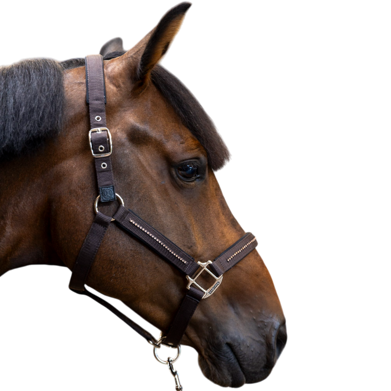Harcour - Love cocoa halter and lead rope 