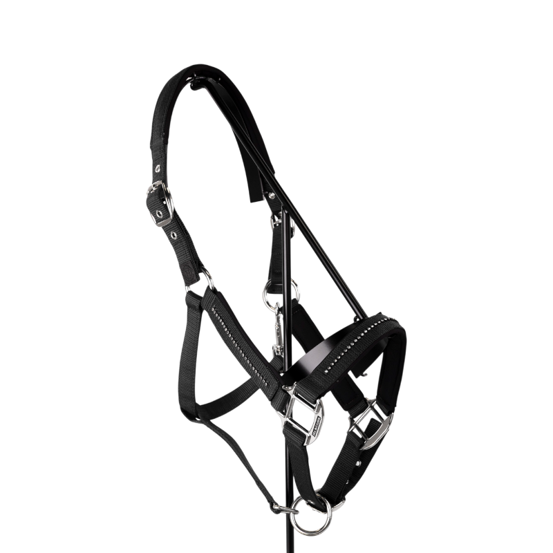 Harcour - Love black halter and lead rope set 