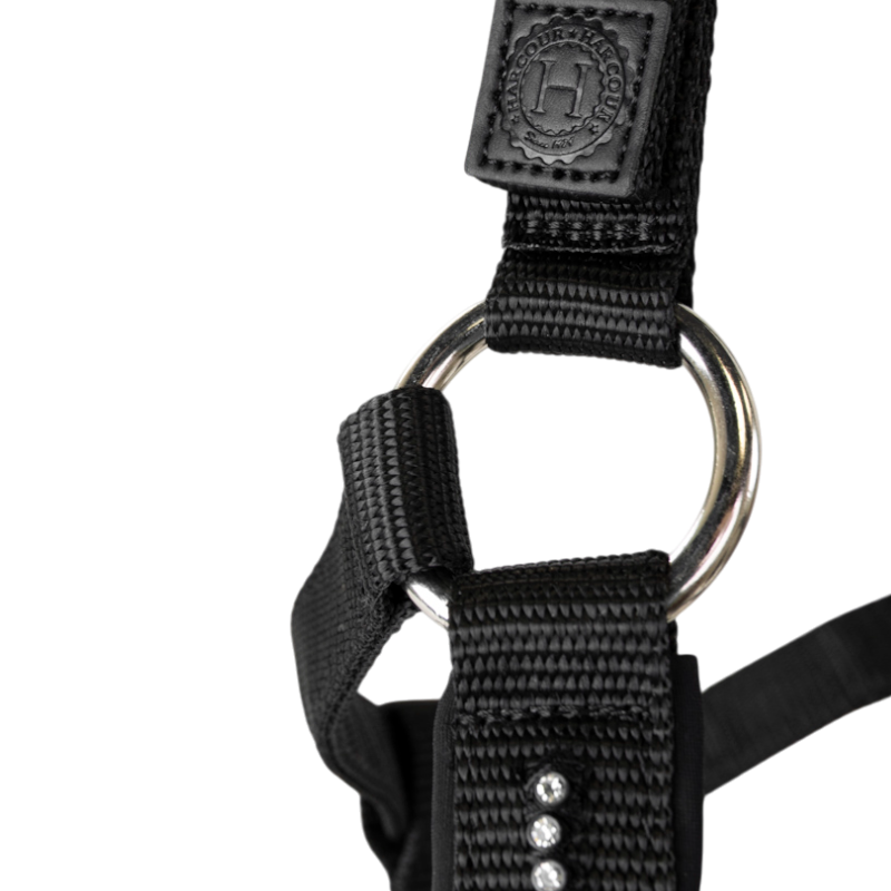 Harcour - Love black halter and lead rope set 