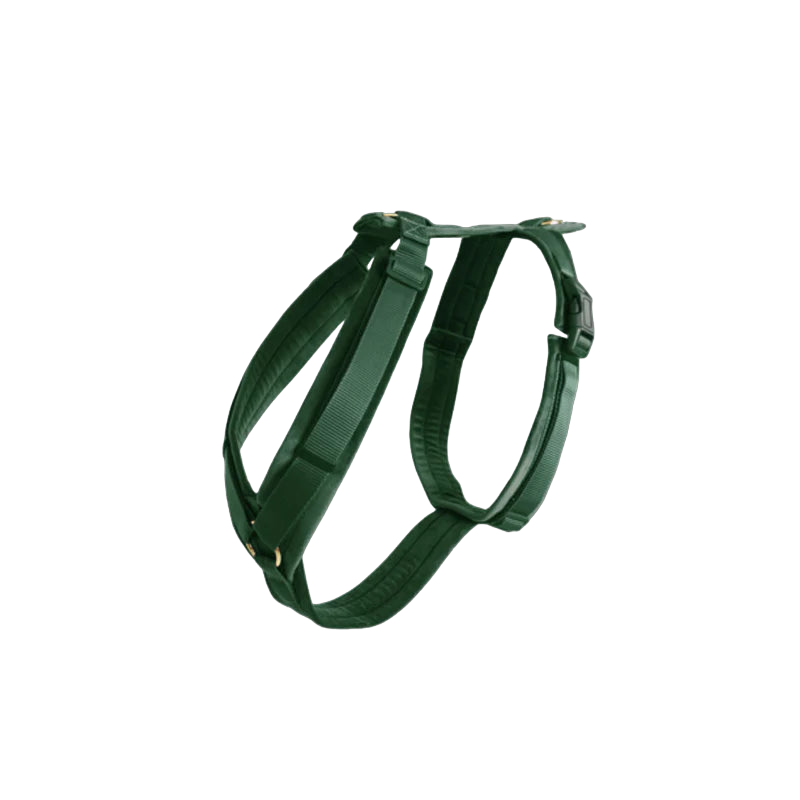 Kentucky Dogwear - Harnais pour chien actif velours pine green | - Ohlala