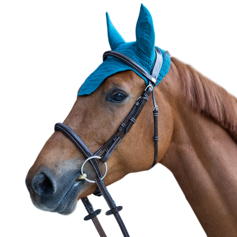 Jump'In - Bonnet pour chevaux Balthazar lagon/ lagon | - Ohlala