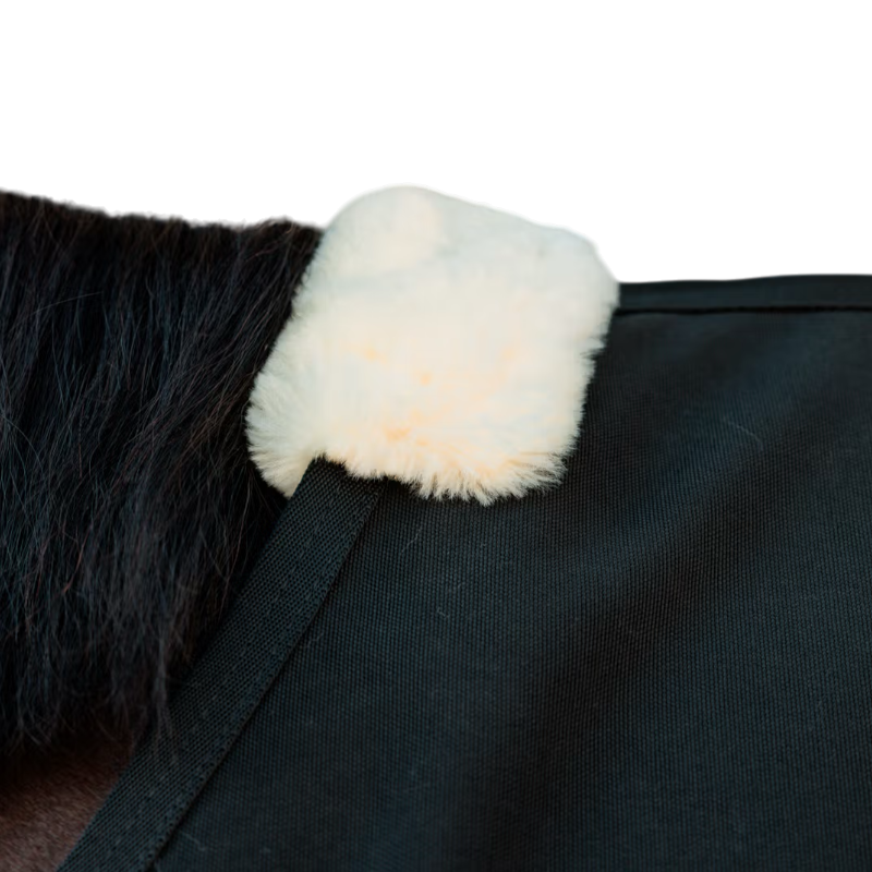 Kentucky Horsewear - Couverture de box et d'extérieur Canvas noir | - Ohlala