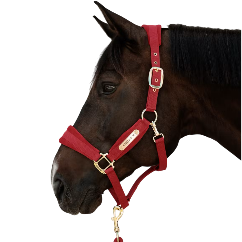 Kentucky Horsewear - Rode Velours Halster 