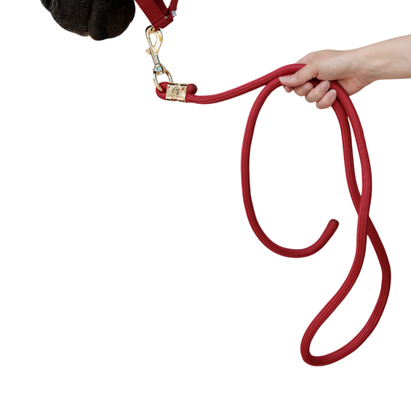 Kentucky Horsewear - Lange Touw Basis rood 2m 