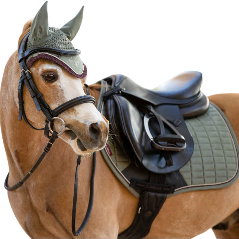 Lemieux - Classic Mini Pferdehaube Rosmarin 