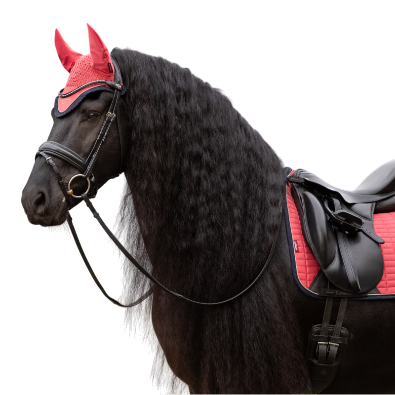 Lemieux - Klassische Cranberry-Pferdehaube 
