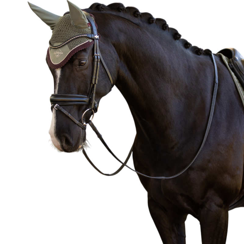 Lemieux - Classic rosemary Pferdedecke 