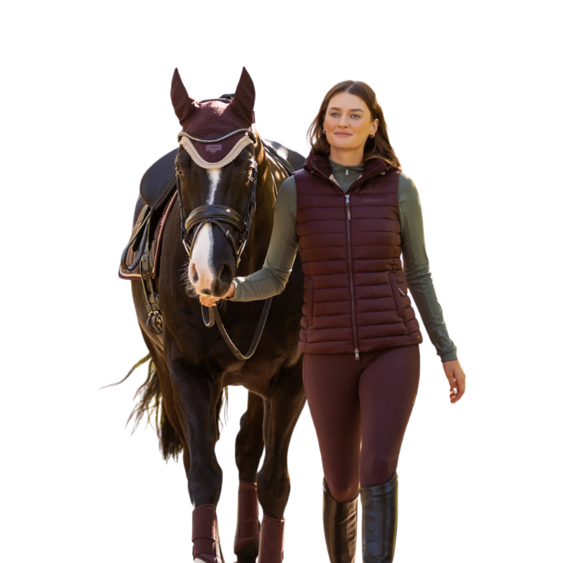Lemieux - Hoed voor paarden Loire damson 