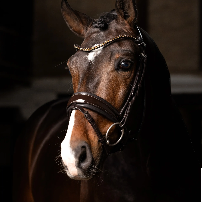Lemieux - Bridon de dressage Kudos Patent marron