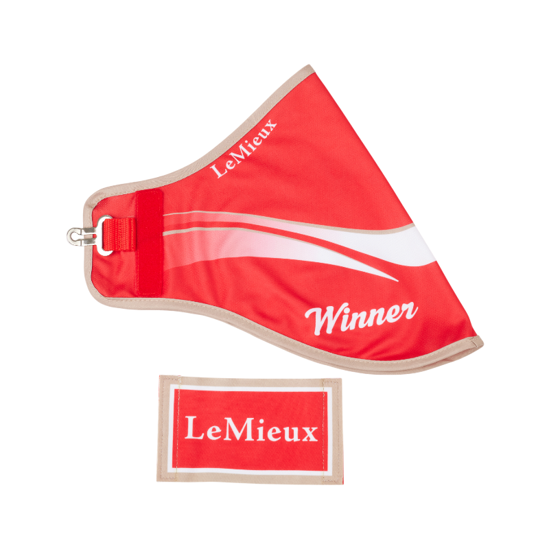Lemieux - Winnaarscover voor Rode Hobby Paard 