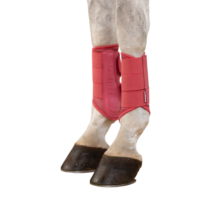 Lemieux - Guêtres souples Mesh Arika cranberry