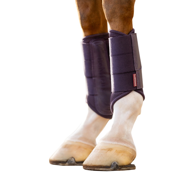 Lemieux - Guêtres souples Mesh Arika juniper