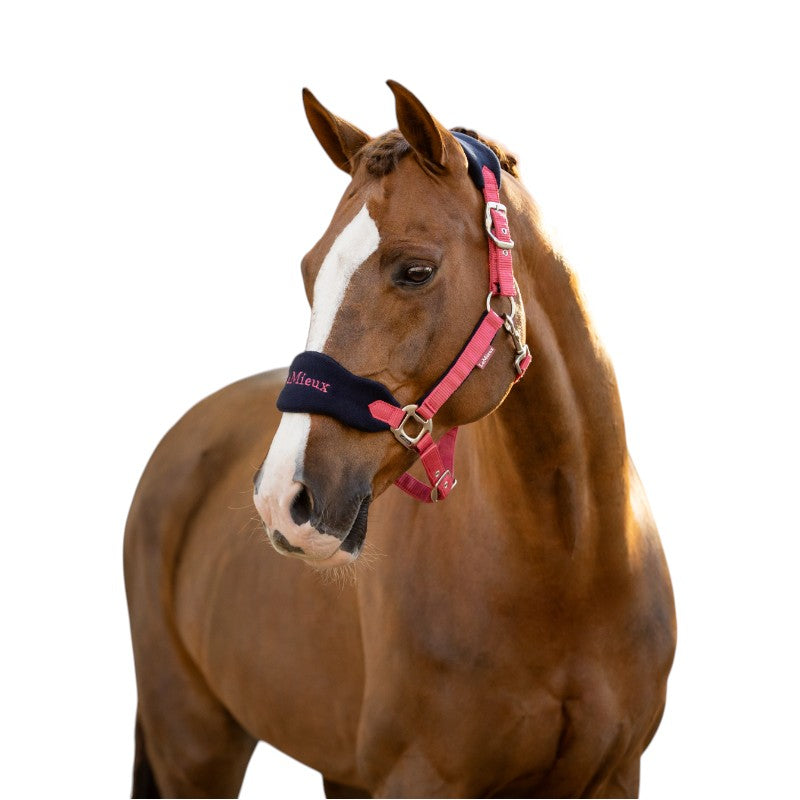 Lemieux - Licol et longe Vogue cranberry