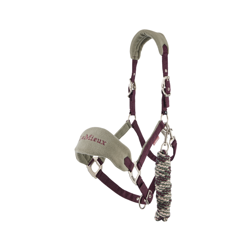 Lemieux - Licol et longe Vogue damson