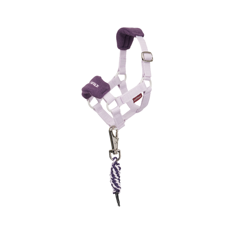 LeMieux - Licol et longe Vogue  pour peluche Toy Pony lilac | - Ohlala