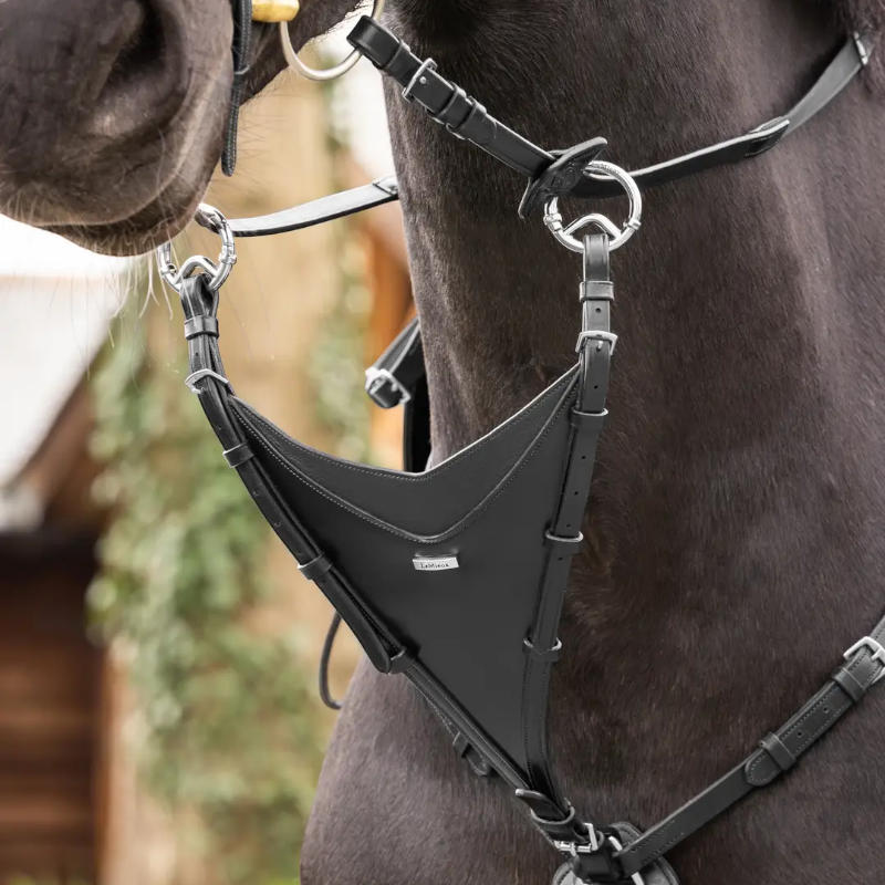 Lemieux - Martingale Bib Kudos noir/ argent