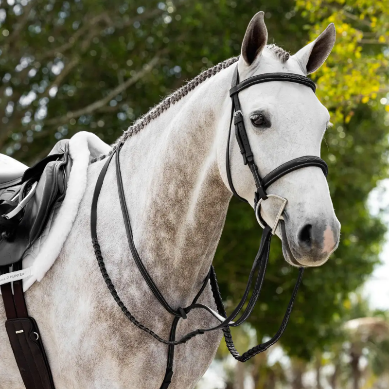 Lemieux - Martingale fixe Hunter noir/ argent
