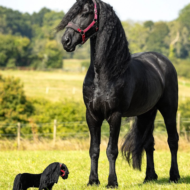 Lemieux - Knuffel Speelgoed Pony Spike 