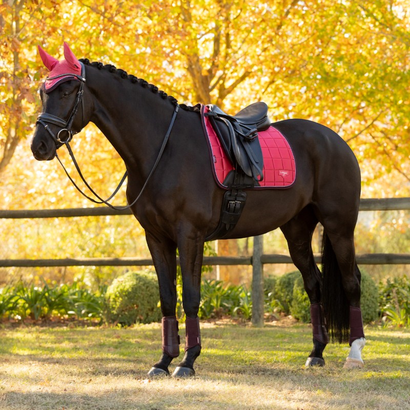 Lemieux - Tapis de dressage Square Loire Classic cranberry
