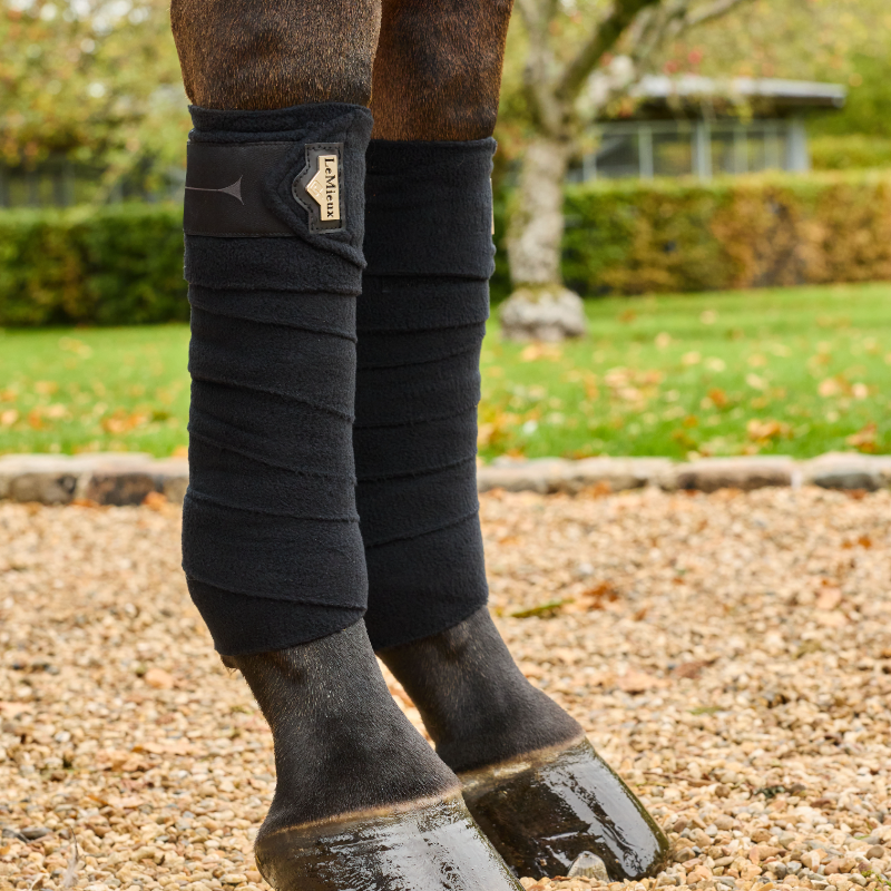 LeMieux - Bandes de polo Elevate noir x4