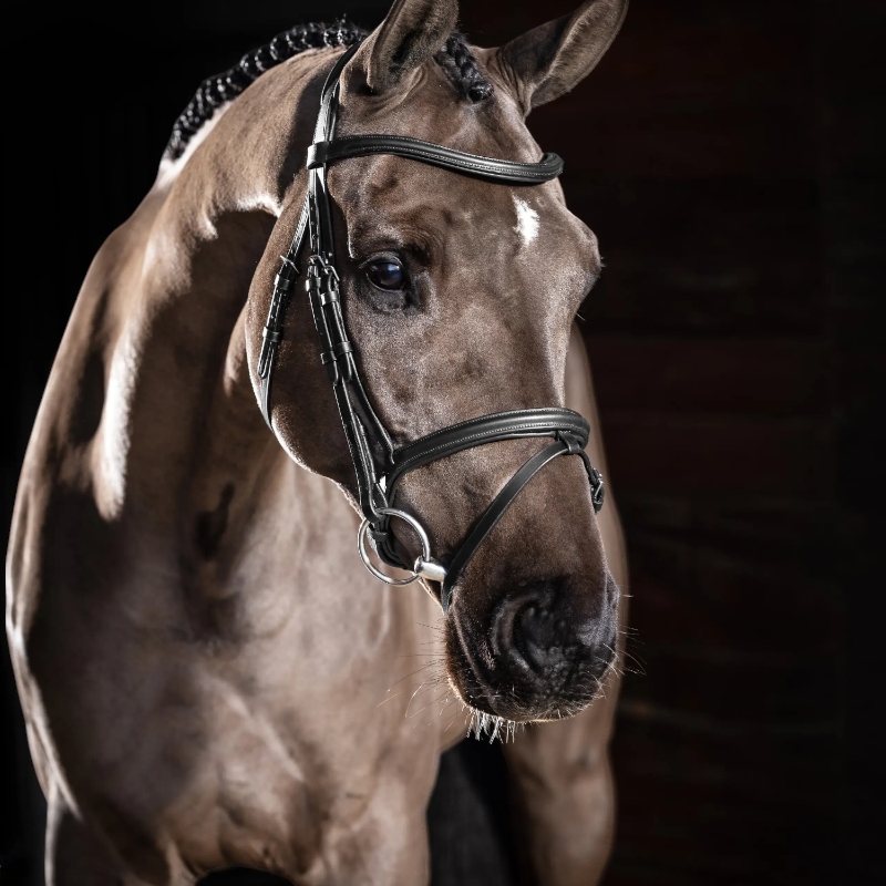 Lemieux - Bridon Arika Flash noir/ argent