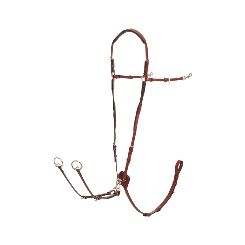 Lemieux - D-Ring hunting collar chestnut/silver 