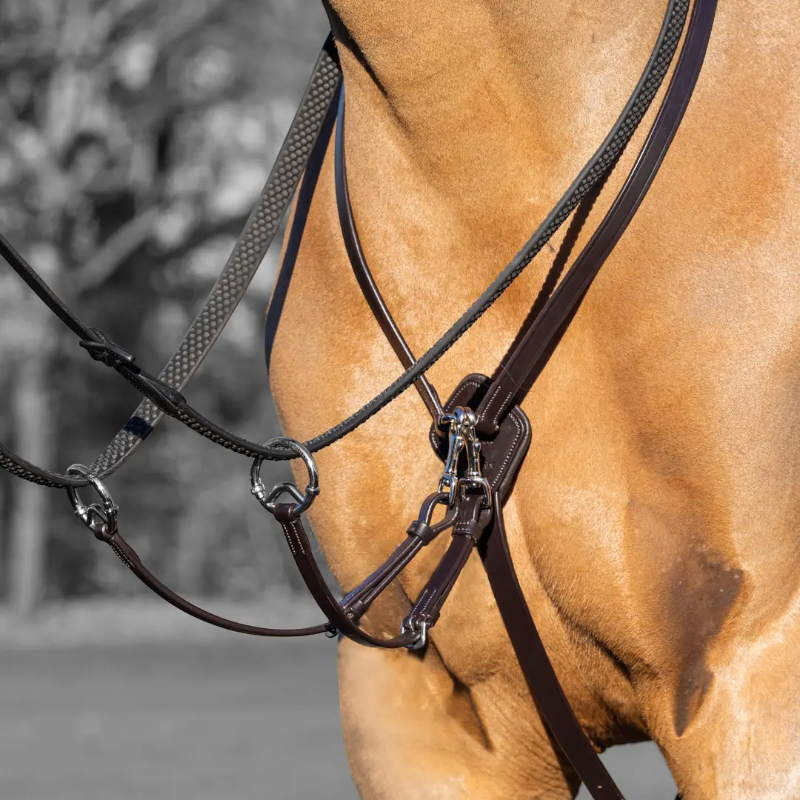 Lemieux - Martingale à anneaux Kudos marron/ argent