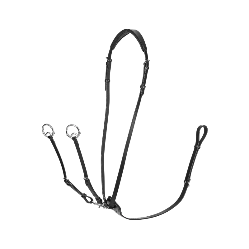 Lemieux - Martingale à anneaux Kudos noir/ argent