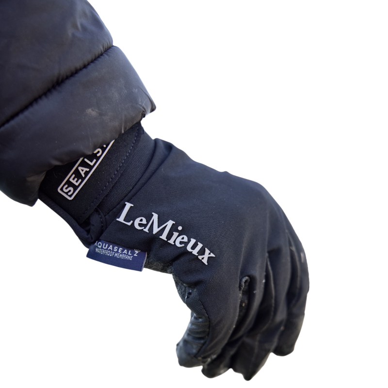 LeMieux - Gants imperméable Sealskinz noir