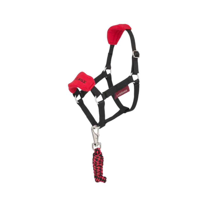 Lemieux - Licol et longe pour Hobby Horse Vogue chili | - Ohlala