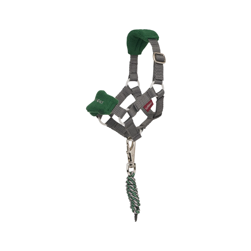 Lemieux - Licol et longe pour Toy Pony Vogue hunter green | - Ohlala