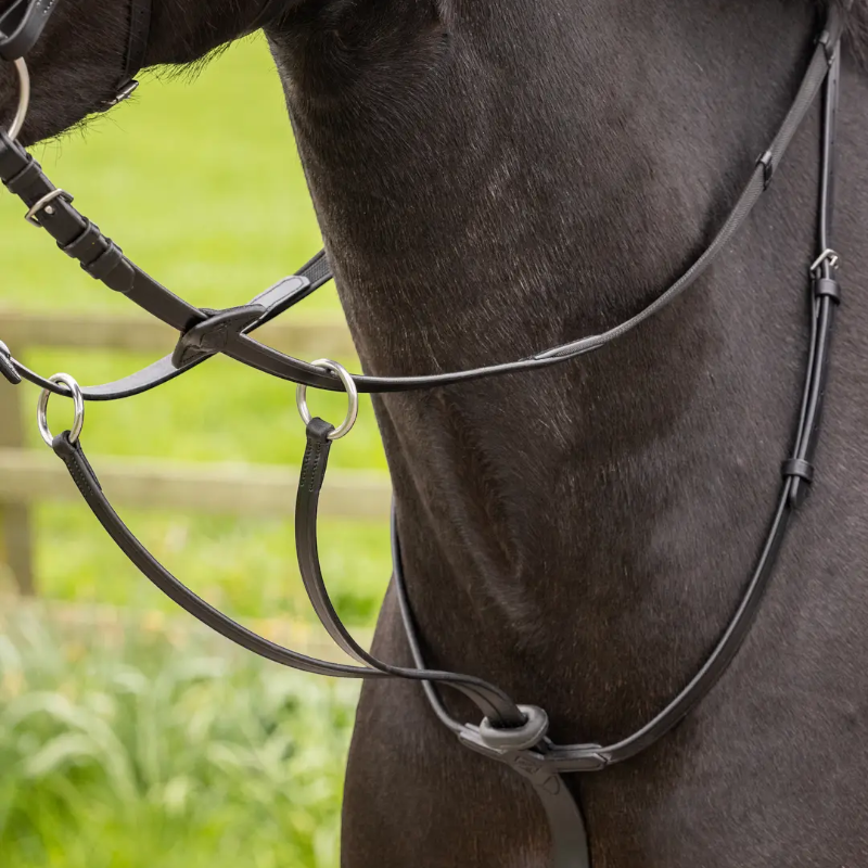 Lemieux - Martingale à anneaux Arika noir/ argent
