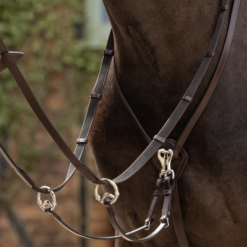 Lemieux - Martingale à anneaux Kudos havane/ argent