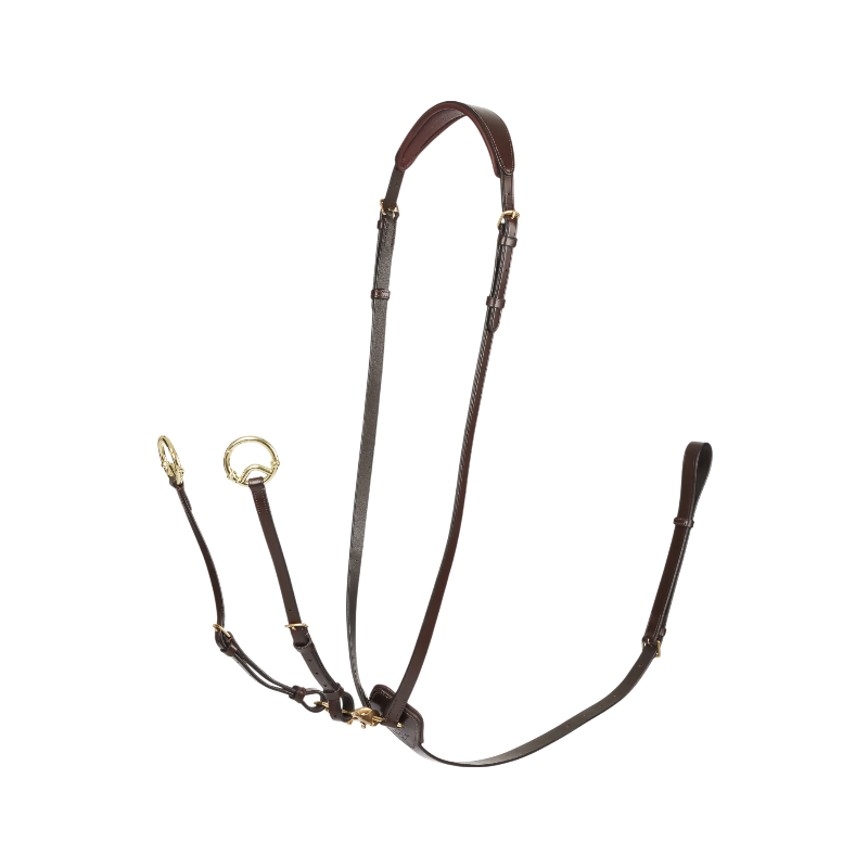 Lemieux - Martingale à anneaux Kudos havane/ laiton